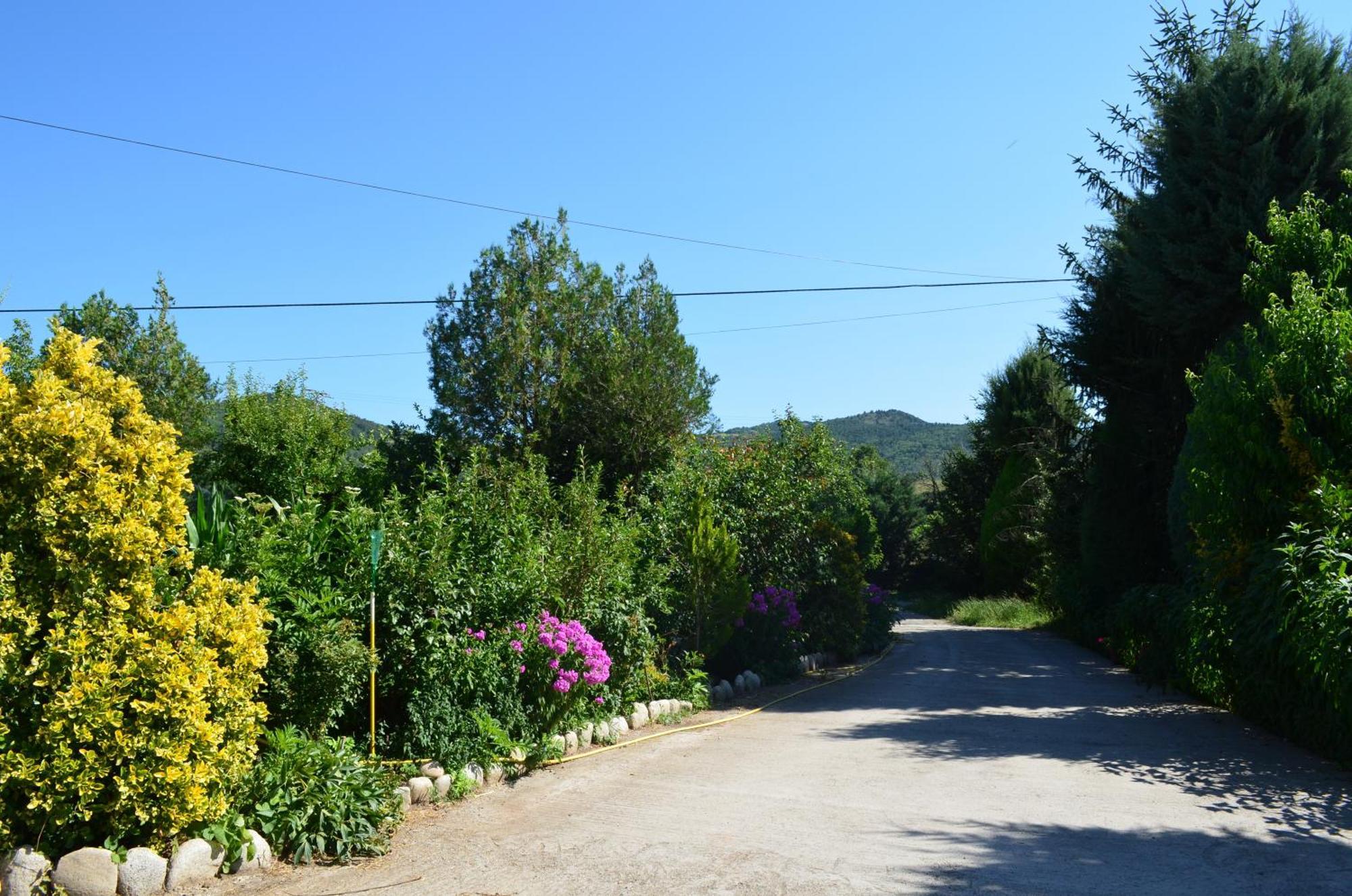 Casa Rural La Vall Del Cadi La Seu d'Urgell Exterior foto